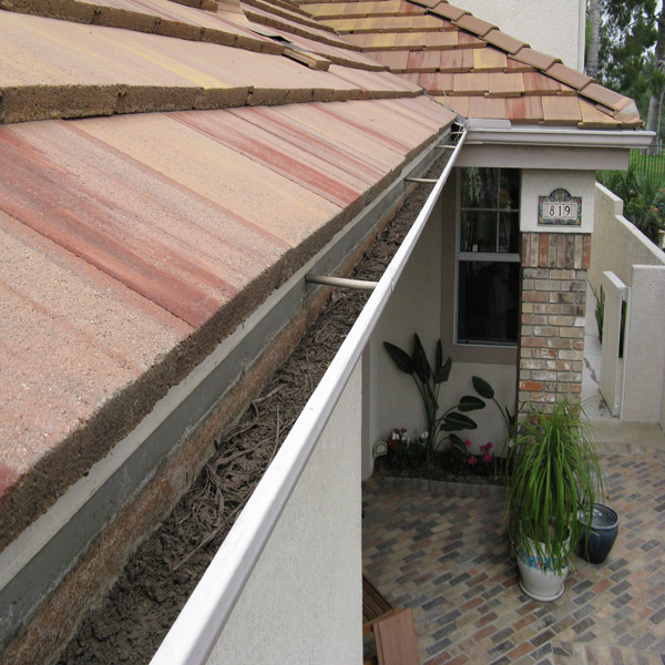 Roof Cleaning Before